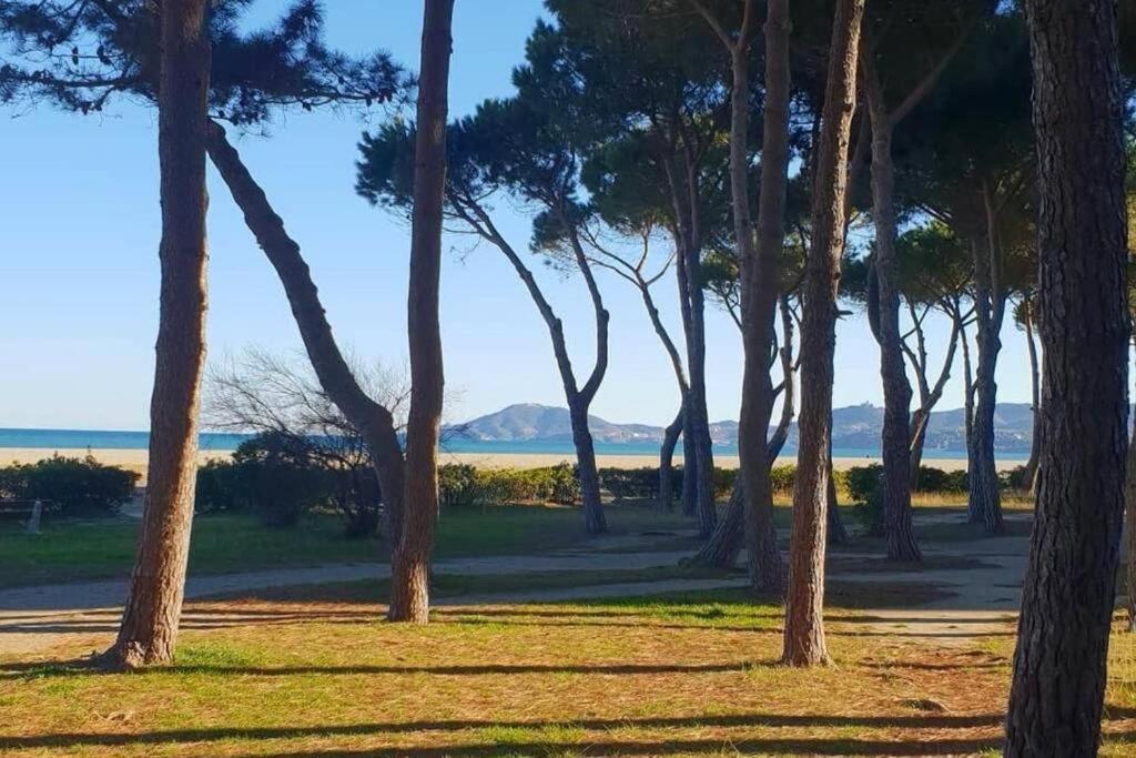 Joli Studio Cabine 4 Personnes A 300 M De La Plage Argeles-sur-Mer Luaran gambar